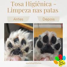 Imagem do produto Tosa higiênica