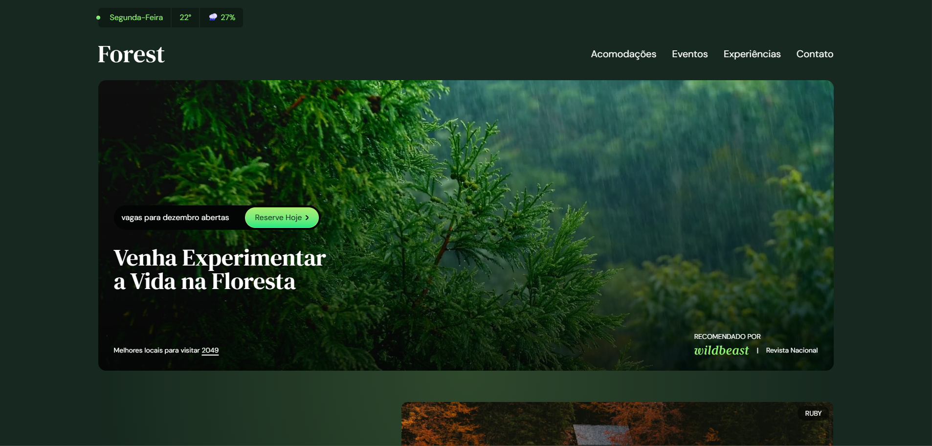Imagem do produto Desenvolvimento de sites